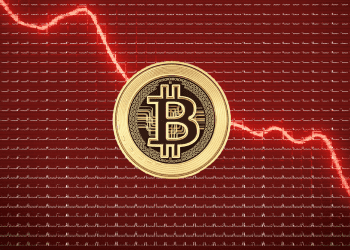 Bitcoin Falls More Than 50% from it’s All-Time High