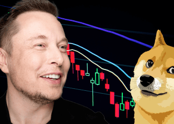 Dogecoin Price Dips After the Elon Musk v Twitter Issue