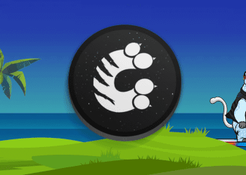 What are Wild Fat Cats – Animated NFTs