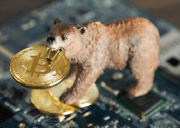 Crypto-Bear