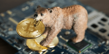 Crypto-Bear