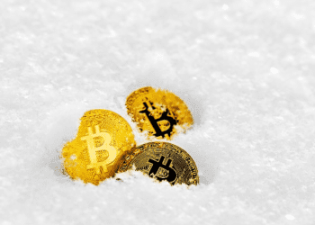 Crypto Winter Bitcoin
