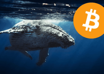 BTC Whale