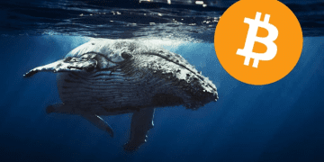BTC Whale