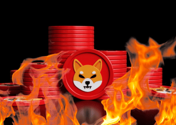 shibu inu coin red
