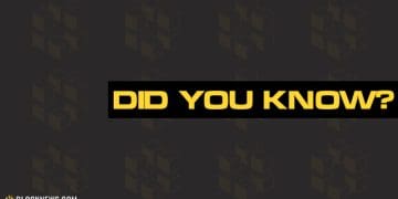 Cryptocurrency Explained: The Basics and Need to Know Information  