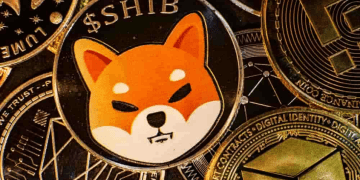 shiba inu crypto