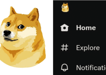 elon doge twitter