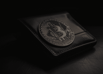 Wallet with Bitcoin on it
