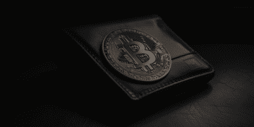 Wallet with Bitcoin on it