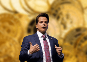 Anthony Scaramucci Bitcoin