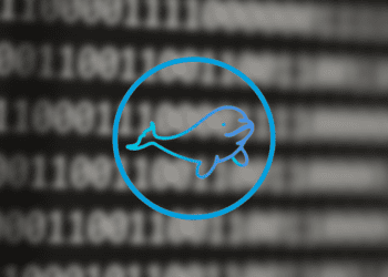 Beluga Protocol Logo