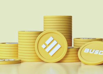 Binance BUSD Coin
