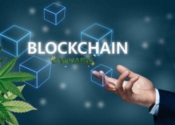 Blockchain and Cannabis: A Dive Into Blockticity