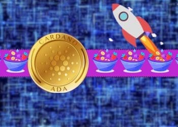 Cardano's MuesliSwap to Launch Slippage Refund Site for Users