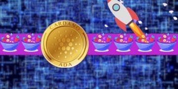 Cardano's MuesliSwap to Launch Slippage Refund Site for Users