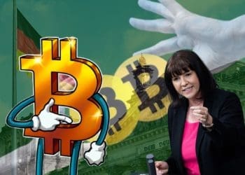 German Lawmaker Cotar Pushes for Bitcoin as Legal Tender