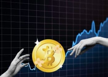 Surge in Bitcoin Wallet Holdings Signify Growth in Investor Trust
