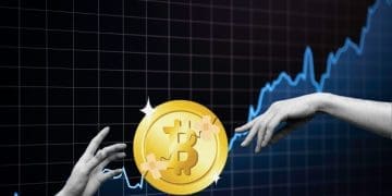 Surge in Bitcoin Wallet Holdings Signify Growth in Investor Trust