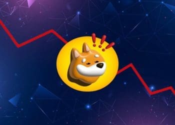 BONK Token Plummeted 58% from its All-Time High and Here is Why