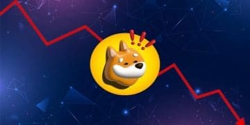 BONK Token Plummeted 58% from its All-Time High and Here is Why