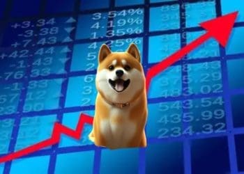 BONK is up 100% in 24 hours and Here is Why