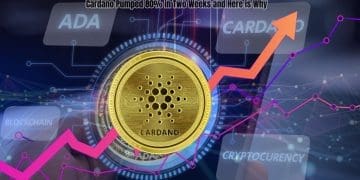 Cardano Pumped 80% in Two Weeks and Here is Why
