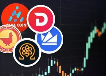 Everything You Need to Know About Today's Best Performing Cryptos