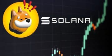 Solana’s BONK Token Achieves New Heights in Memecoin Race