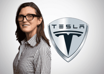 Cathie Wood Boldly Invests $141 Million in Tesla Amid 25% Dump