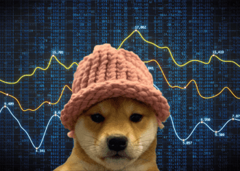 Dogwifhat WIF Token Pumped 51% today and Here is Why