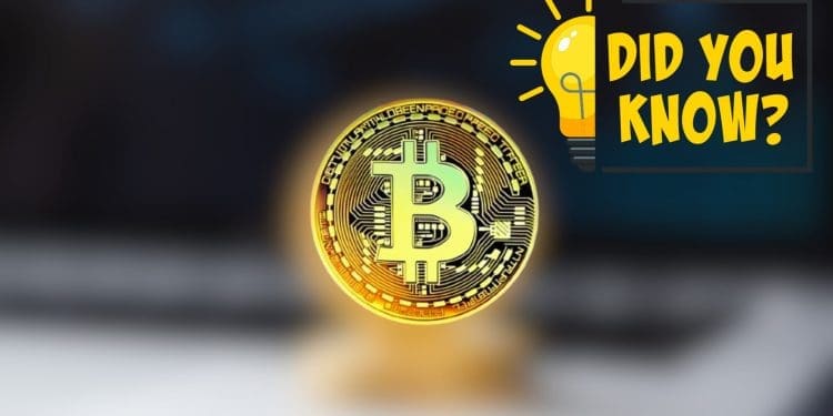 Everything You Need To Know About Spot Bitcoin ETFs - BlockNews.com