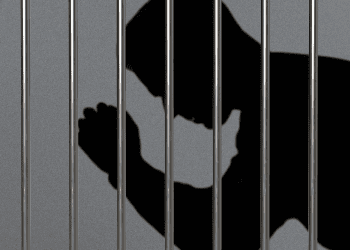 IcomTech CEO Sentenced to Prison for $914K Crypto Scheme Fraud