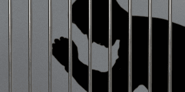 IcomTech CEO Sentenced to Prison for $914K Crypto Scheme Fraud