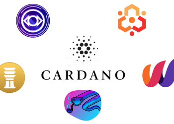 Top 5 Cardano Gems You May Not Know About