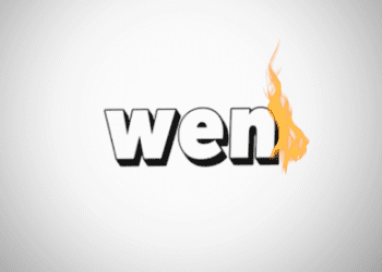 WEN Coin Will Burn 30% of its Supply and Here is Why