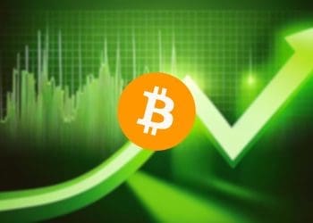 Bitcoin's Bull Signal: Long-Term Holders Reach Record Highs