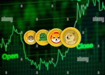 PEPE, BONK, DOGE, and SHIB Are Dominating the Crypto Market: Here is Why