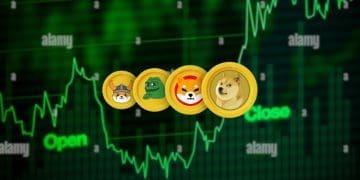 PEPE, BONK, DOGE, and SHIB Are Dominating the Crypto Market: Here is Why