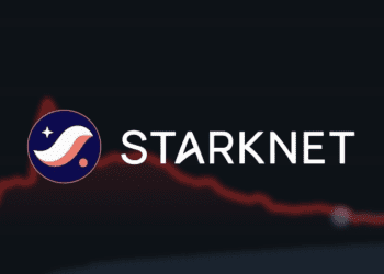 Starknet's STRK Token Launch: A Rollercoaster Start for Users