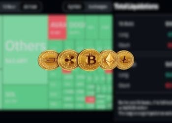 $312 Million in Crypto Has Been Liquidated Over 24 Hours and Here is Why