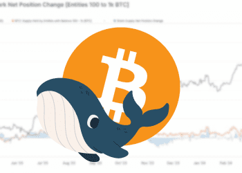 Bitcoin Whales Accumulate Furiously as Market Sentiments Divide