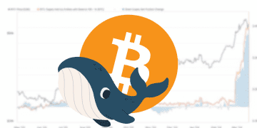 Bitcoin Whales Accumulate Furiously as Market Sentiments Divide