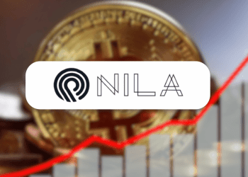 Nilam's Unprecedented Bitcoin Purchase Plan Strategic Move or Scam