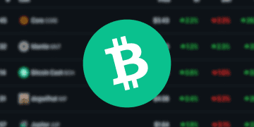 Bitcoin Cash is Up 33% This Week and Here is Why