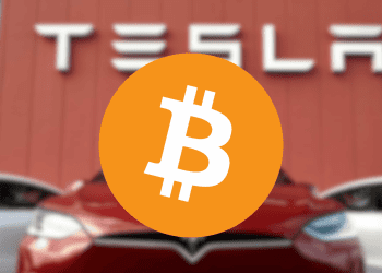 Bitcoin Flipped Tesla in 5 Year Gains, But Will it Last