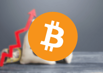 Bitcoin Leads Massive $800M Digital Asset Market Influx