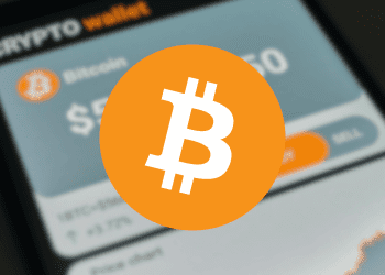 Bitcoin Wallets Triumph 100% Profitability Amidst Rally