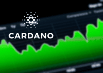 Cardano Whale Transactions Hit Record High, Surging Investor Interest