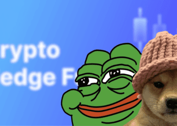 Hedge Funds are Starting to Buy Meme Coins and Here is Why